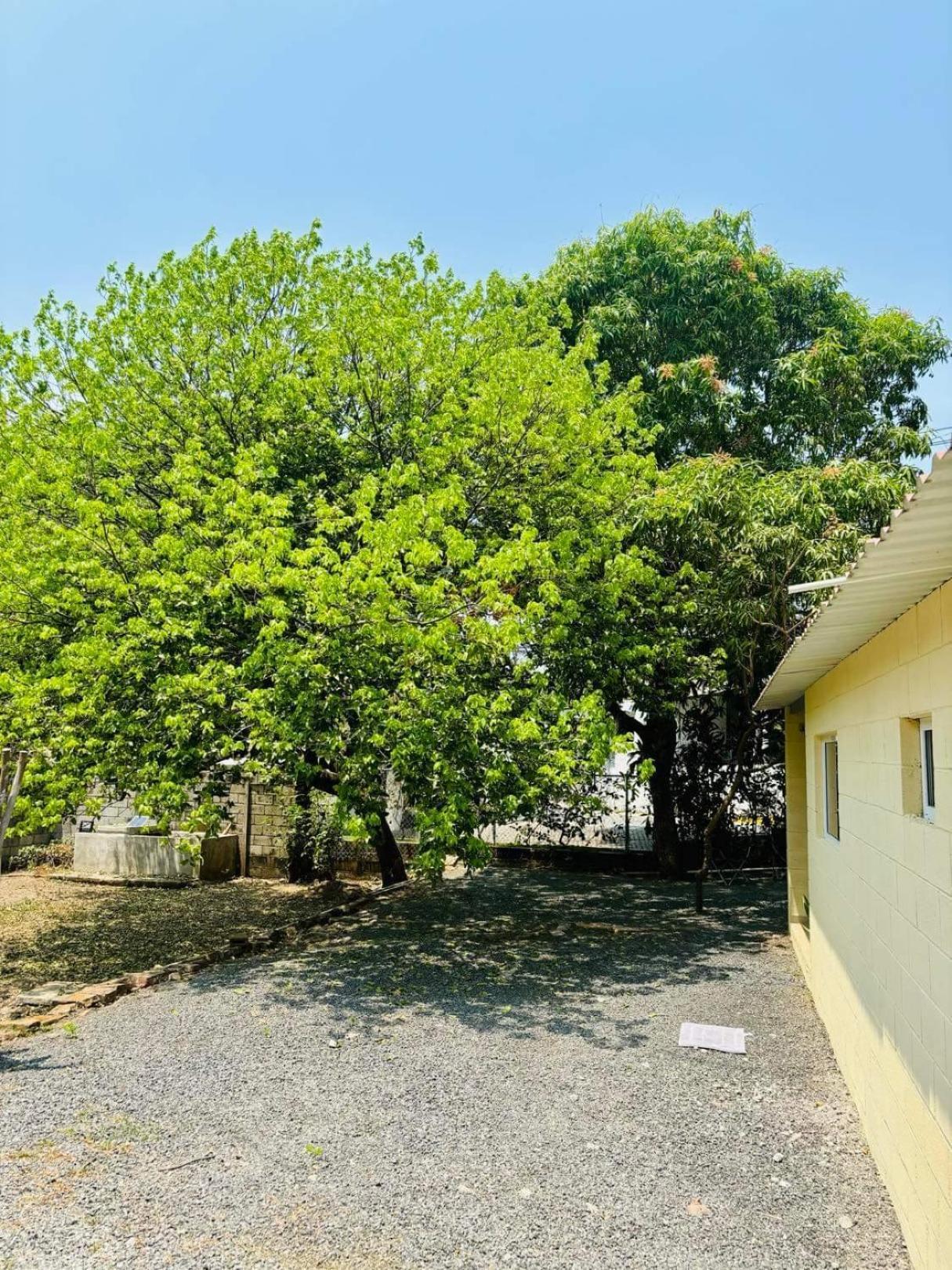 Hostal Camila'S Tamanique Luaran gambar
