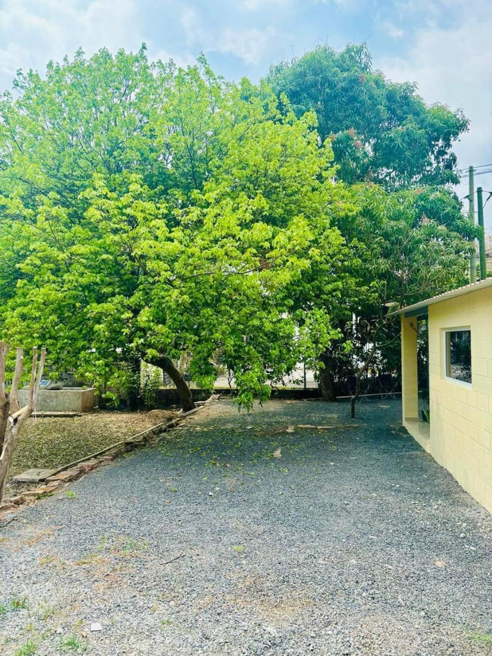 Hostal Camila'S Tamanique Luaran gambar